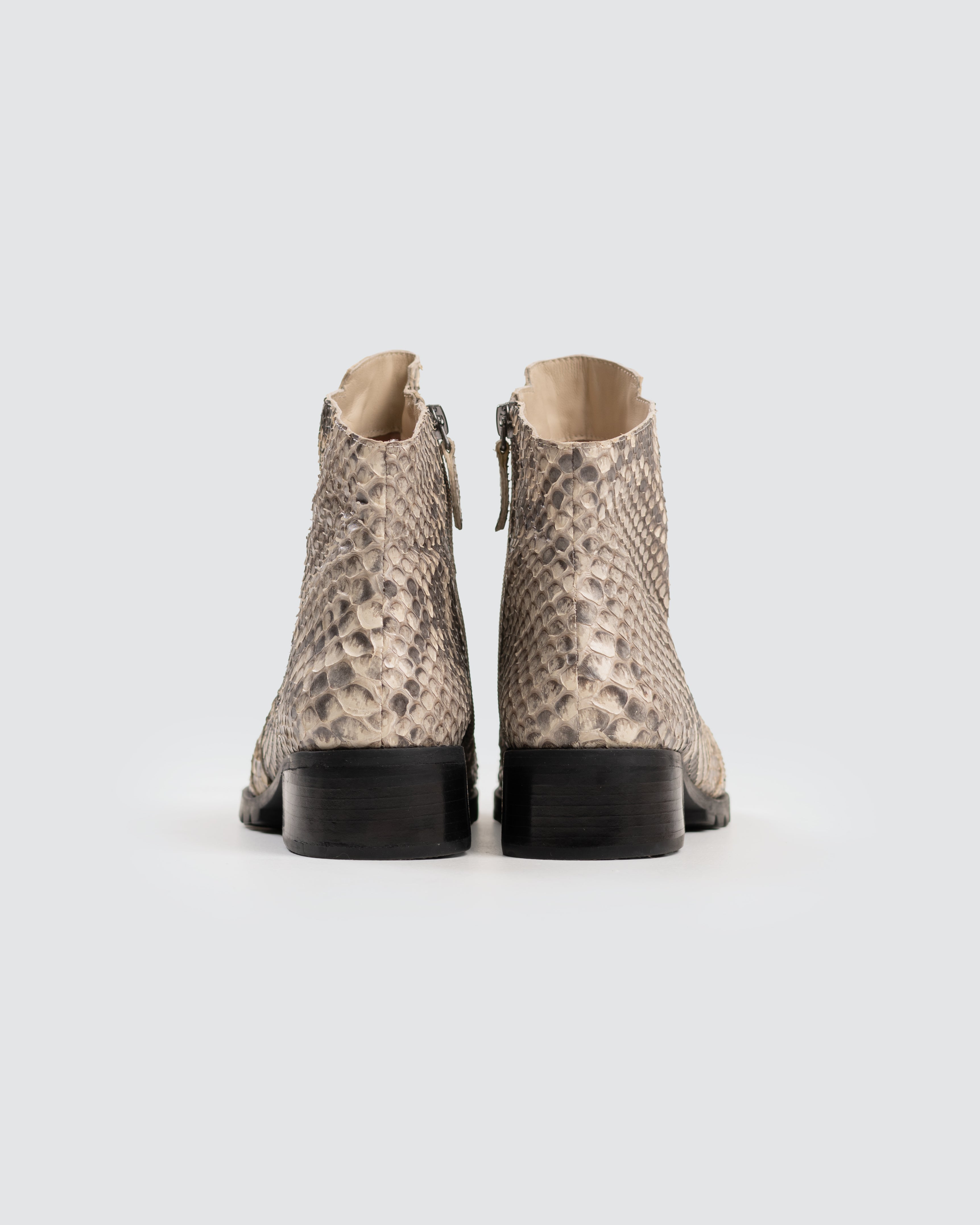 Bota Python